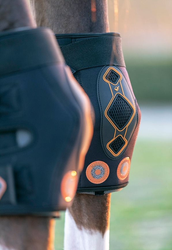 Conductive Magnotherapy Hock Boots